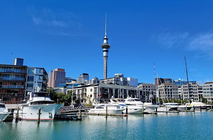 The Sky Tower in Auckland