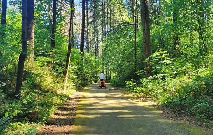 Cyclist on a trail in the Columbia River Gorge