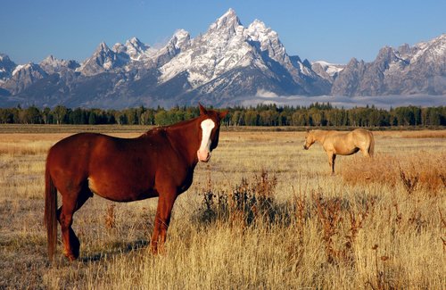 Pictures of Wyoming | PlanetWare