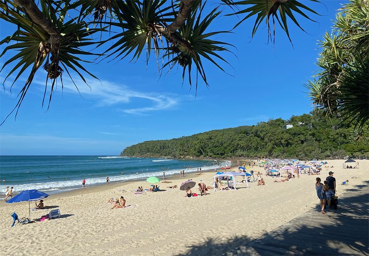 9 Top Rated Tourist Attractions Things To Do In Noosa - 