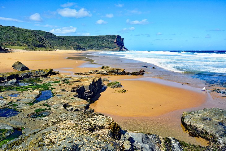 Top Beaches in Sydney, Australia | PlanetWare