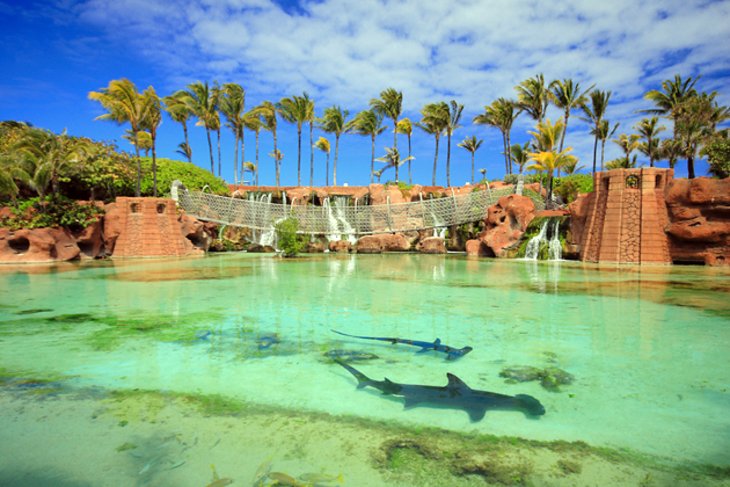 Top Rated Tourist Attractions In The Bahamas Planetware