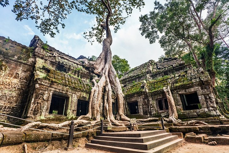 tourism growth in siem reap