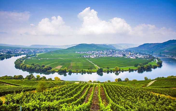 10 Top-Rated Tourist Attractions in the Mosel Valley | PlanetWare