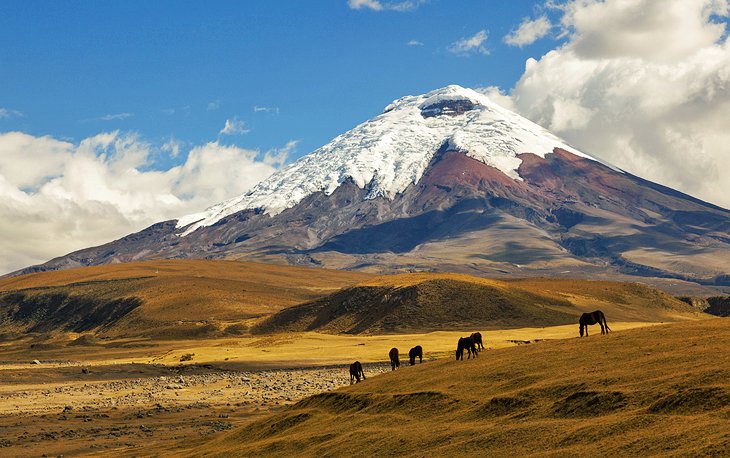 2 tourist attractions in ecuador