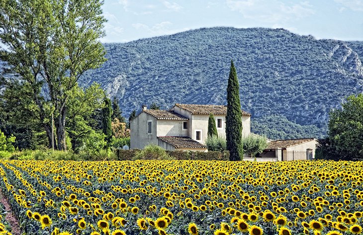 The Charming Countryside of Provence