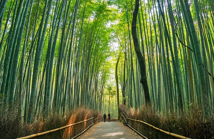 21 Top-Rated Attractions in Japan |