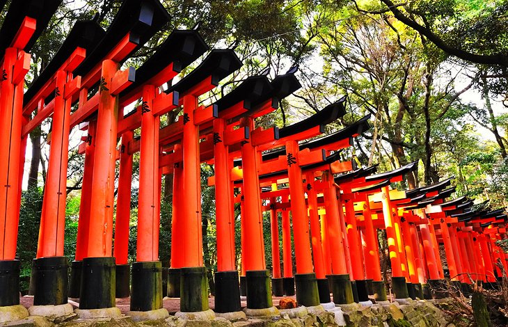 12 Top-Rated Tourist Attractions in Kyoto | PlanetWare