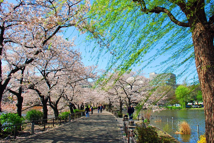30 Best Things to Do in Tokyo: Must-See Attractions and Activities ...