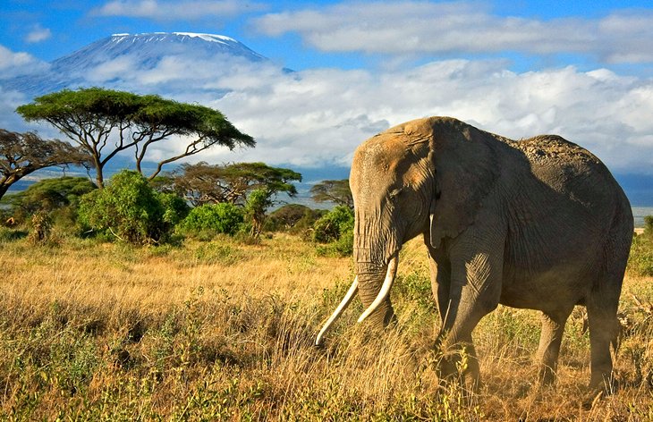 14 Top Rated Tourist Attractions In Kenya The Focus