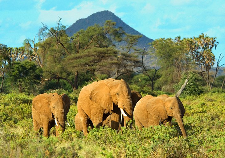 Top-Rated Tourist Attractions in Kenya | PlanetWare