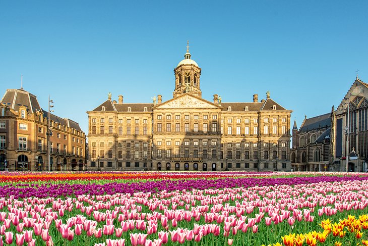 24 Top-Rated Attractions Things to Do in Amsterdam |