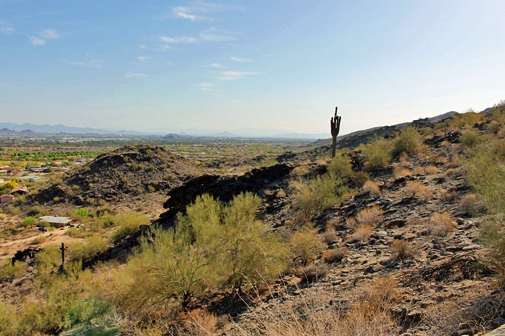 Best Phoenix, AZ Hiking Trails For Casual Walks & Beginners