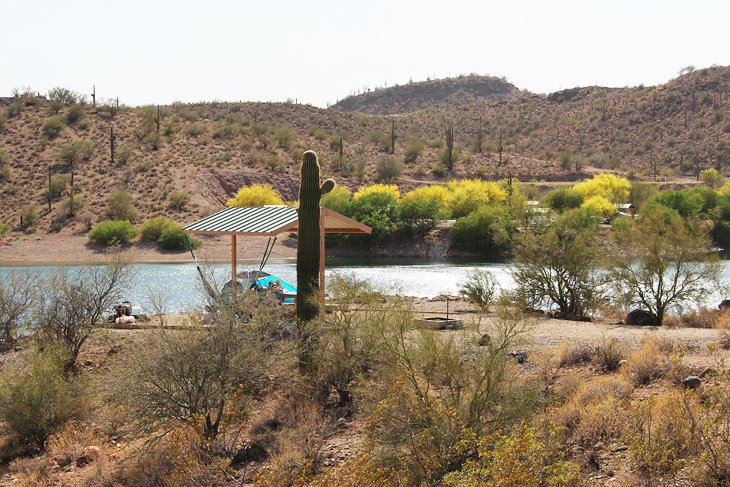 9 Top-Rated Campgrounds in the Phoenix Area Pla picture