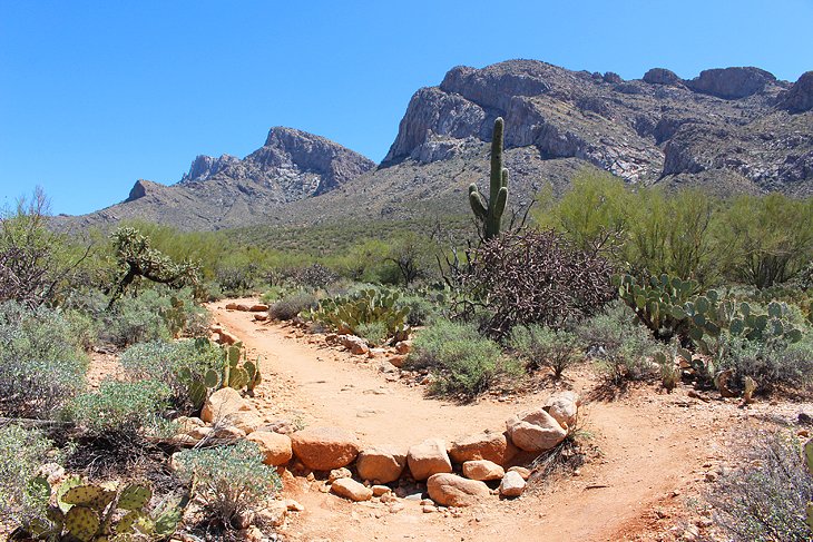 11 Top Rated Hiking Trails In Tucson Planetware