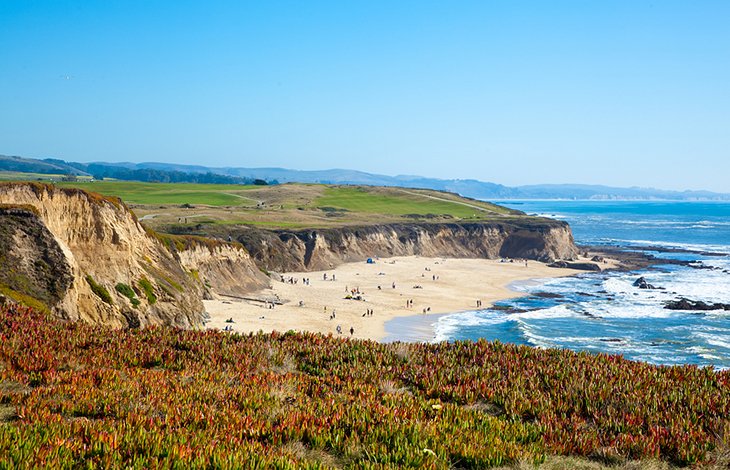14 Top-Rated Attractions & Things to Do in Half Moon Bay