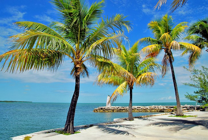 11 Top-Rated Tourist Attractions in the Florida Keys 