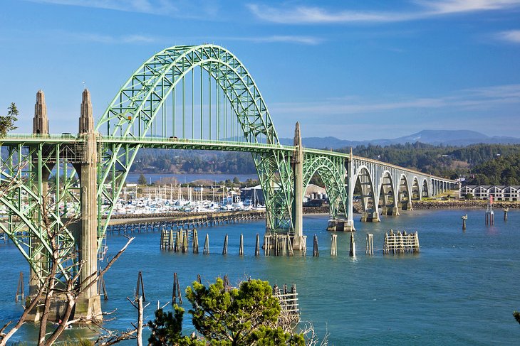 newport aquarium shark bridge commercial