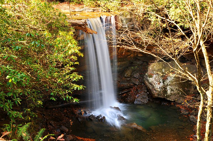 11 excursiones de un día mejor valoradas desde Pittsburgh, PA