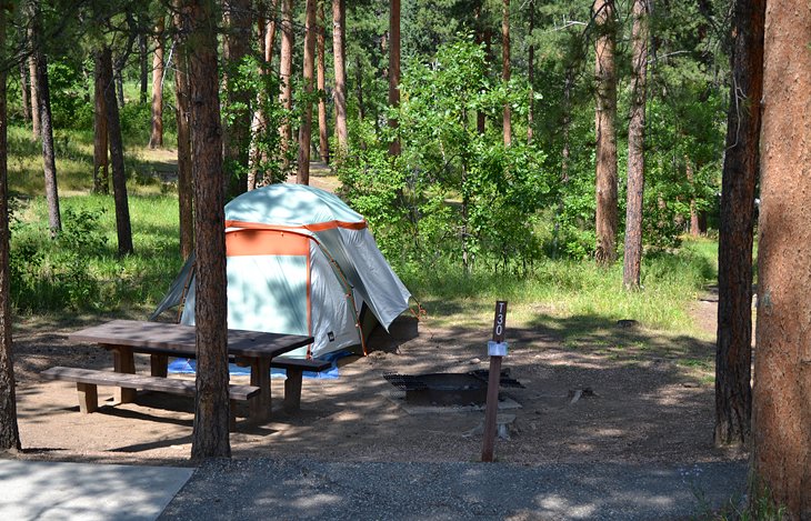 19+ Forest Campgrounds Near Me