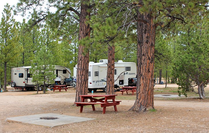 bryce canyon camping fees