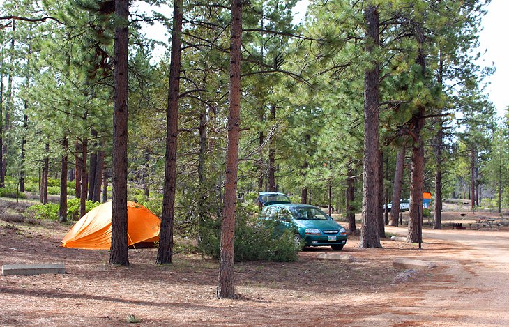 bryce canyon camping hook up