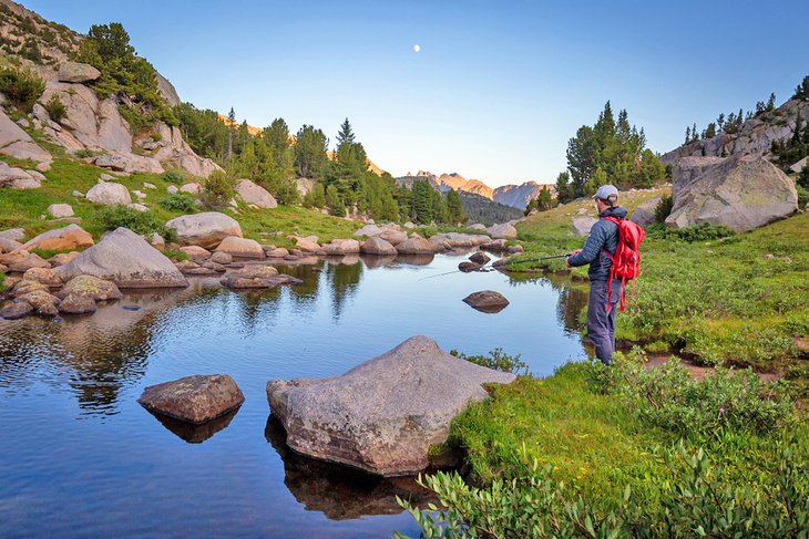 10 Top-Rated Fly Fishing Destinations in Wyoming | PlanetWare