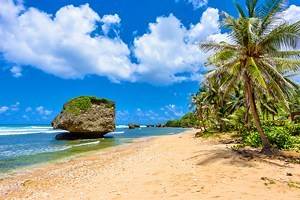 21 Top-Rated Attractions & Things to Do in Barbados | PlanetWare