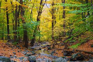 Hiking Trails in Pennsylvania