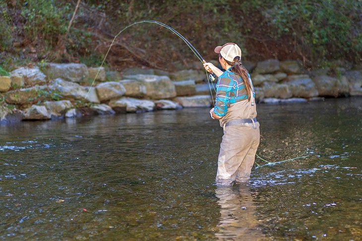 Such a Cool Place to Fly Fish!!  Fly Fishing Western North Carolina! 