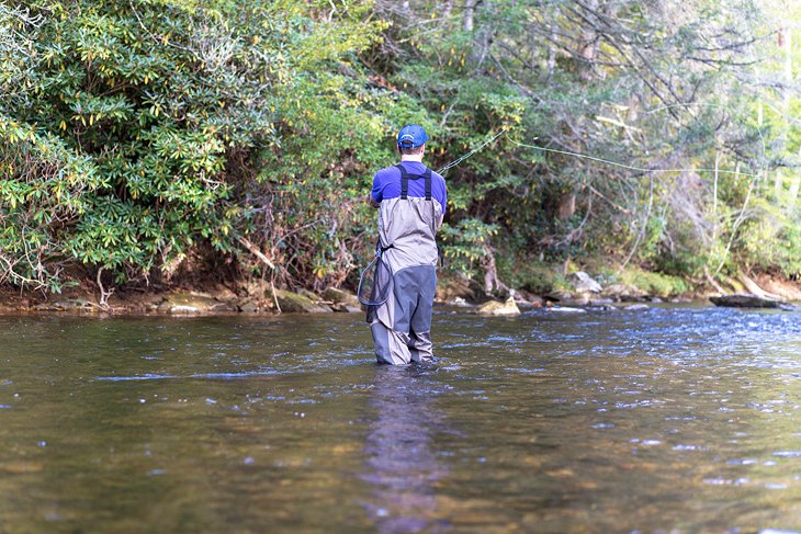 Fly Fishing in Western North Carolina