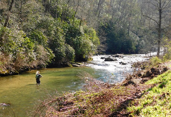 11 Top-Rated Rivers for Trout Fishing in North Carolina