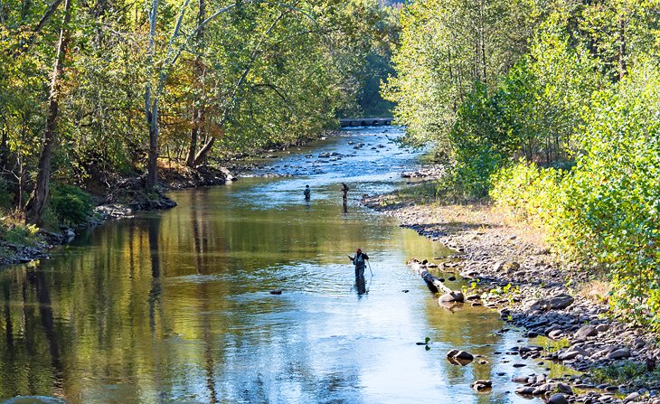 13 Top-Rated Rivers & Lakes for Trout Fishing in West Virginia