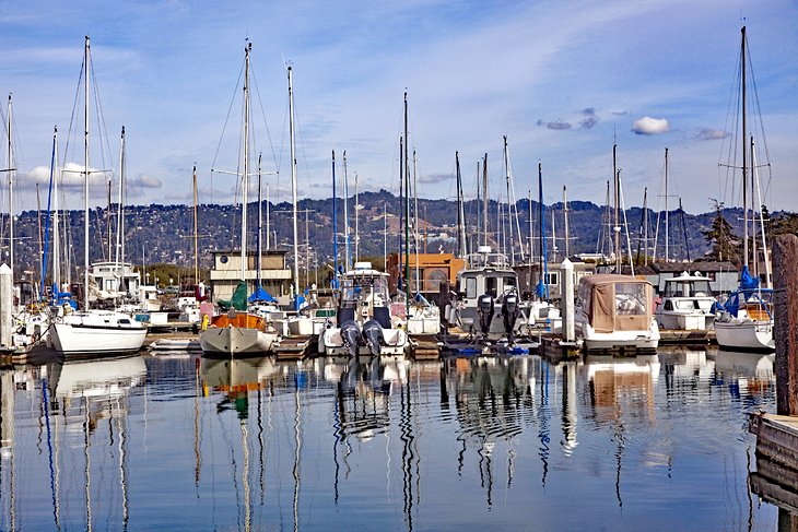 Boats at Berkeley Marina