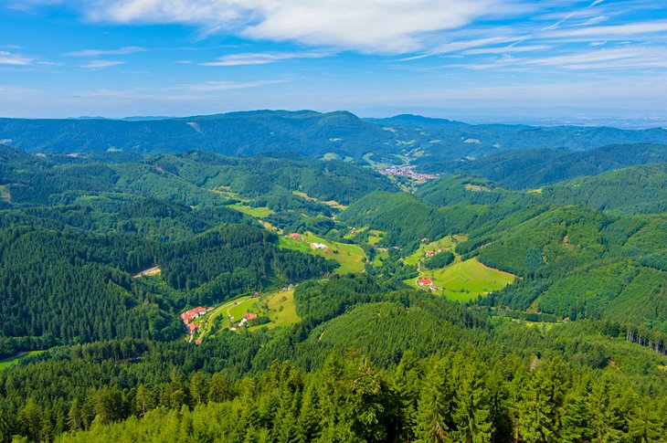 day trips in germany black forest