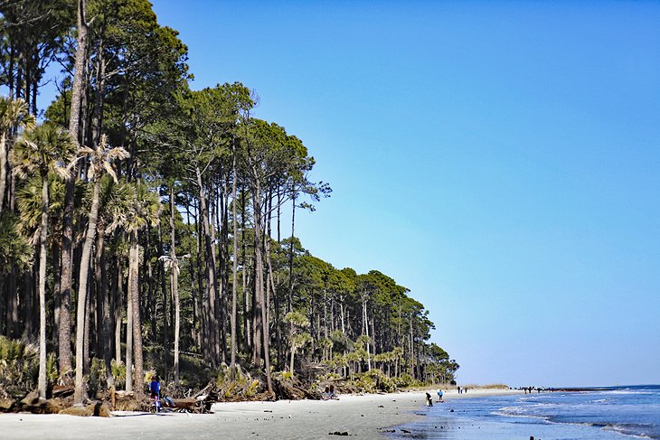 Visit Coastal South Carolina: Best of Coastal South Carolina Tourism