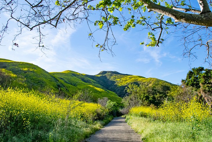 10 Best Trails and Hikes in California