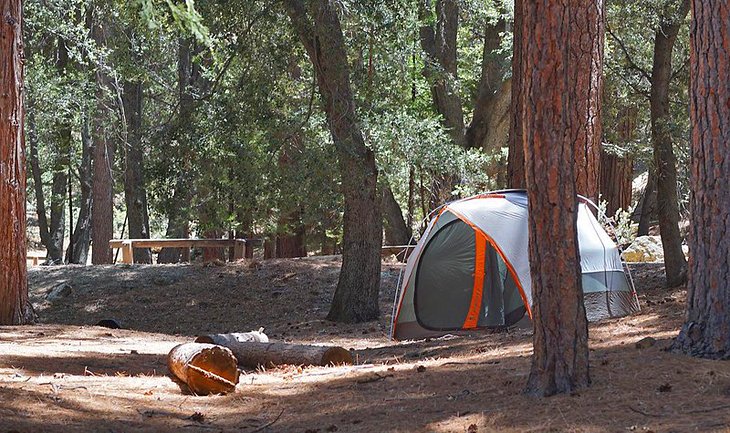 15+ Forest Camping Southern California