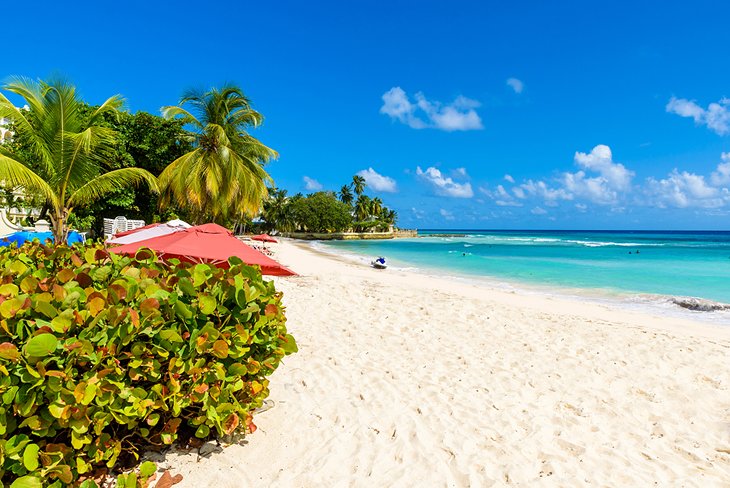 13 Top Rated Beaches In Barbados Planetware