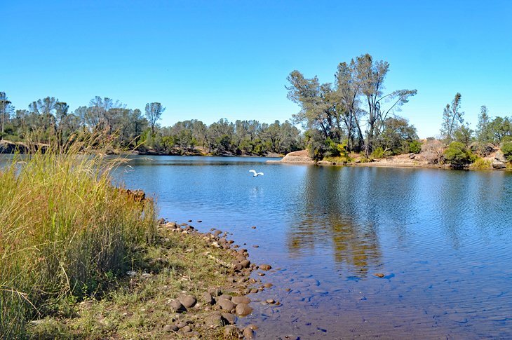 Folsom Lake Recreation Area