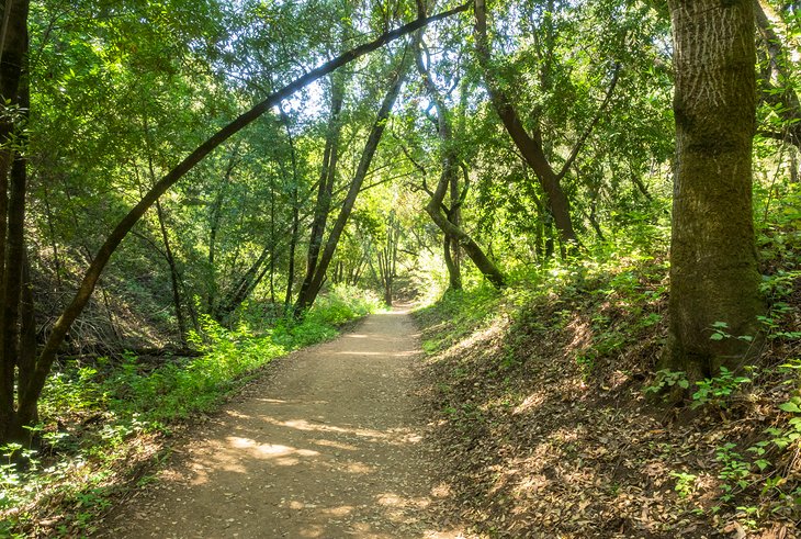 12 Top-Rated Hiking Trails near San Jose, CA |