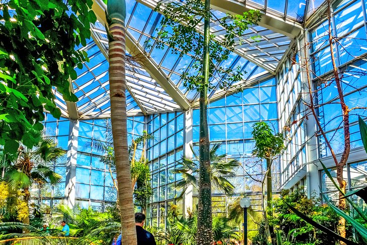 The Palm Garden, Frankfurt