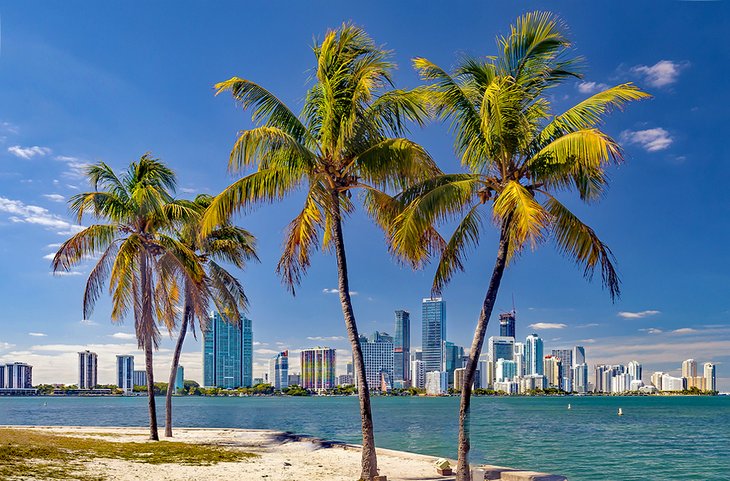 The Best Time to Visit Miami, Florida