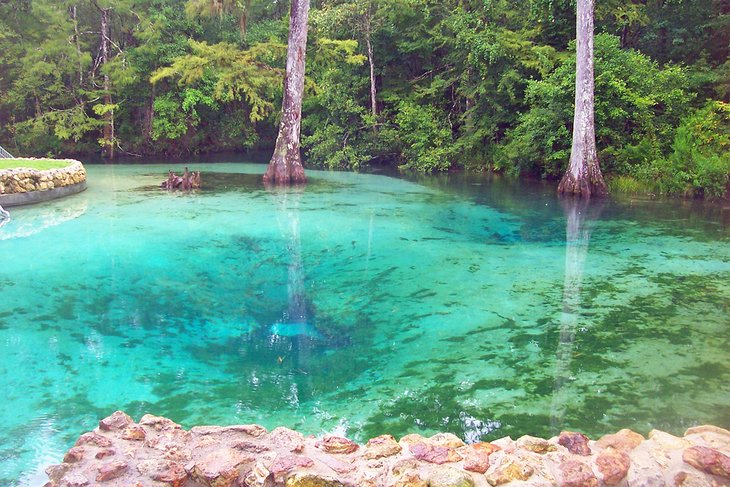 Springs in Florida – The Ultimate Guide to Springs in Florida