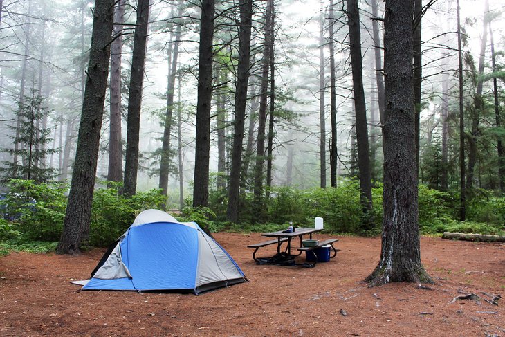 15+ Summer Camping Ontario
