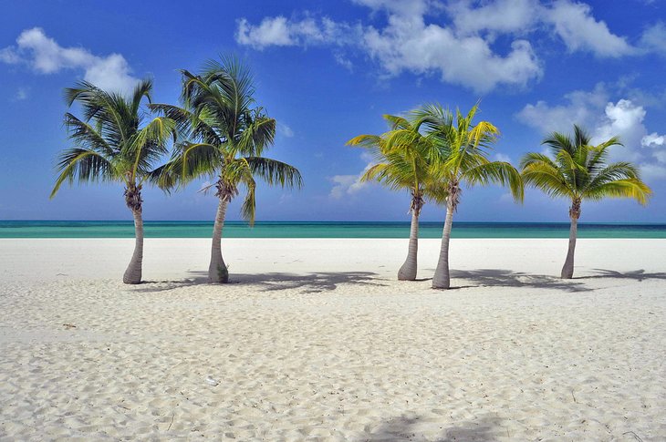 17 Best Beaches In Cozumel 2023 Top Beach Spots Porn Sex Picture