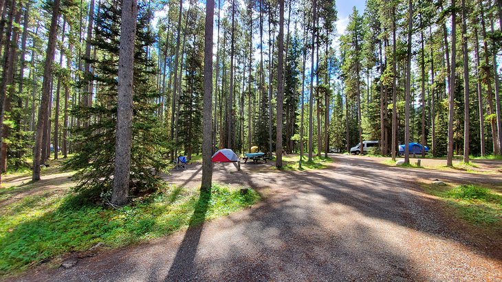 10 Best Campgrounds at Lake Louise 