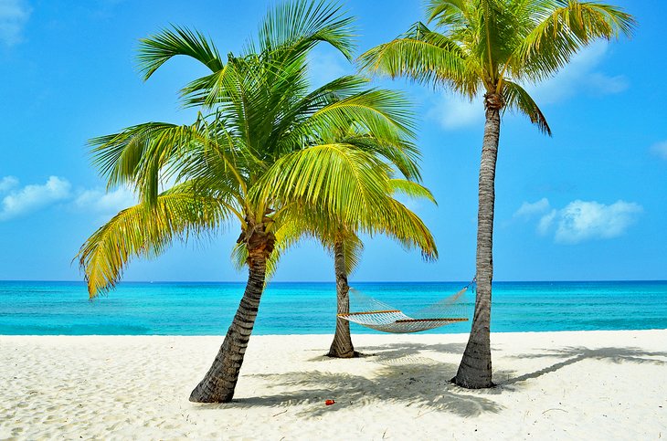 Full Grand Cayman Island Tour 2023 | lupon.gov.ph