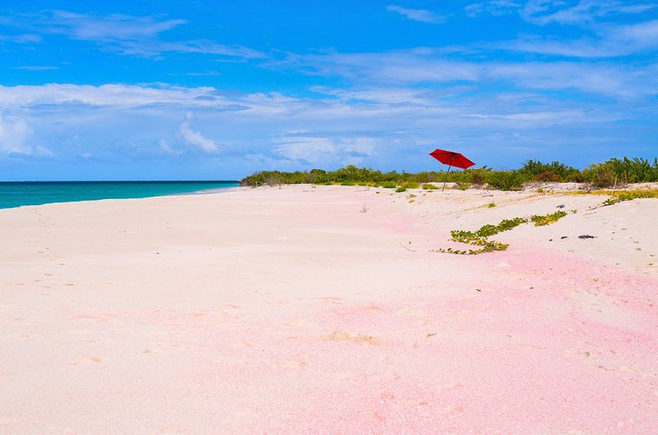 17 Best Pink Sand Beaches in the World