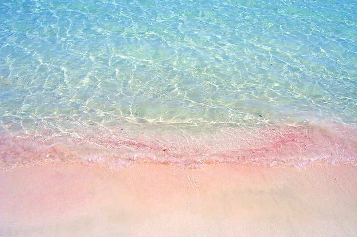 17 Best Pink Sand Beaches in the World